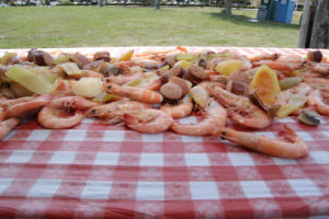 IMG 0039 (1) (1)